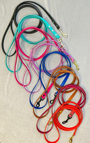 Beta BioThane® leash
