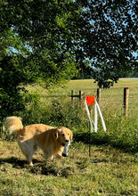 Telescoping Pile Marker Set - Spanky 1
