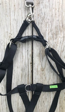 Step-in Harness