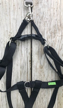 Step-in Harness