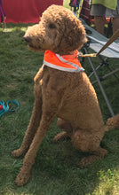 Blaze Orange Walking Vests