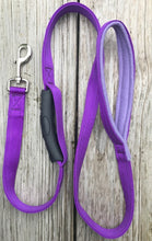 1" x 6' Nylon Leash With Fleece-Lined Handle and In-Line Handle