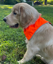 Blaze Orange Field Vest