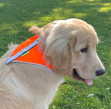 Blaze Orange Field Vest