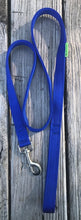 Plain 6' Nylon Leash