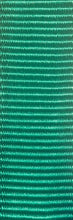 Plain 6' Nylon Leash
