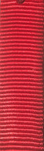 1" x 6' Nylon Leash With Fleece-Lined Handle and In-Line Handle