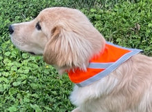 Blaze Orange Walking Vests