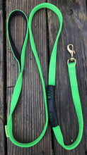 3/4" x 6' Nylon Leash with In-Line Handle
